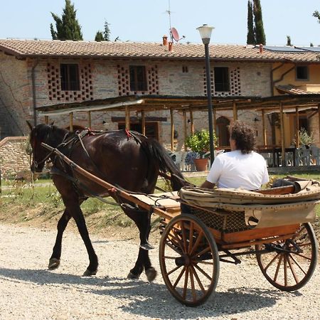 Agriturismo La Colombaia Villa Vicchio Eksteriør bilde