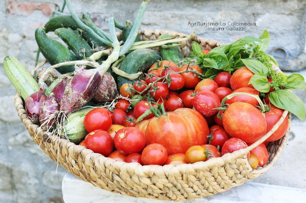 Agriturismo La Colombaia Villa Vicchio Eksteriør bilde