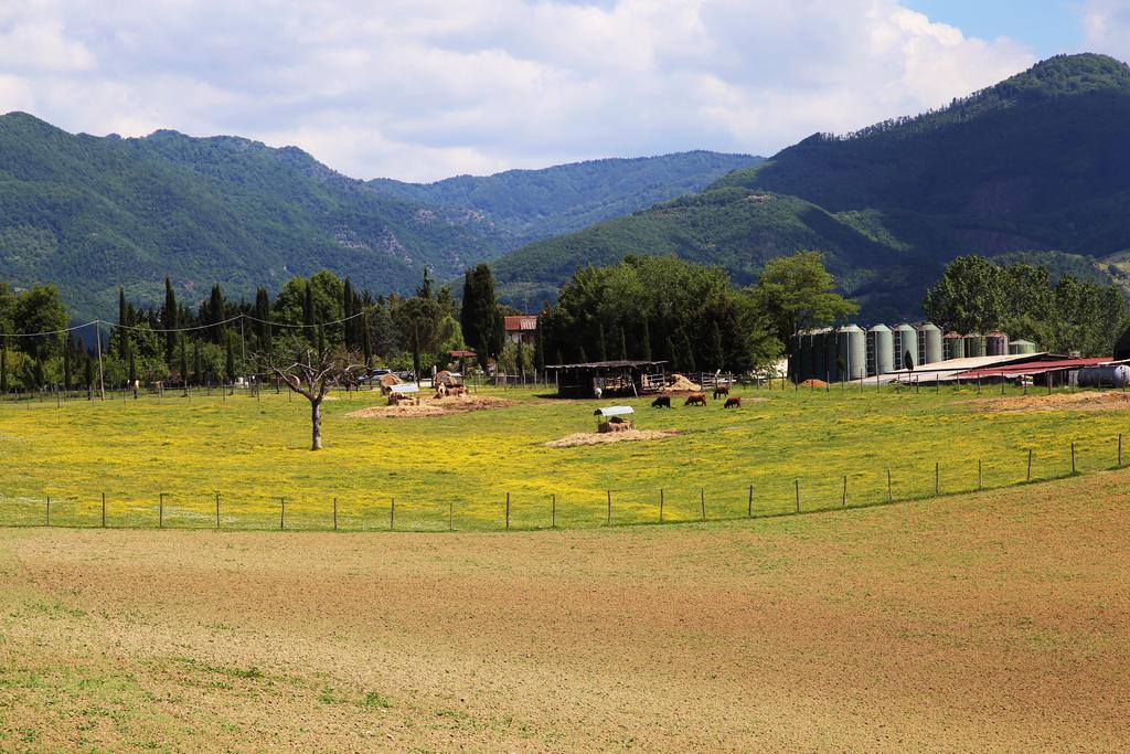 Agriturismo La Colombaia Villa Vicchio Eksteriør bilde