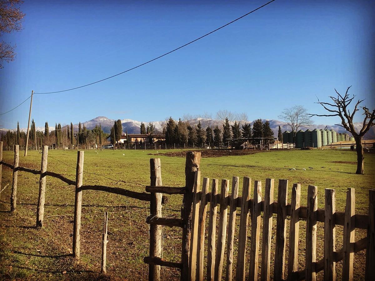 Agriturismo La Colombaia Villa Vicchio Eksteriør bilde