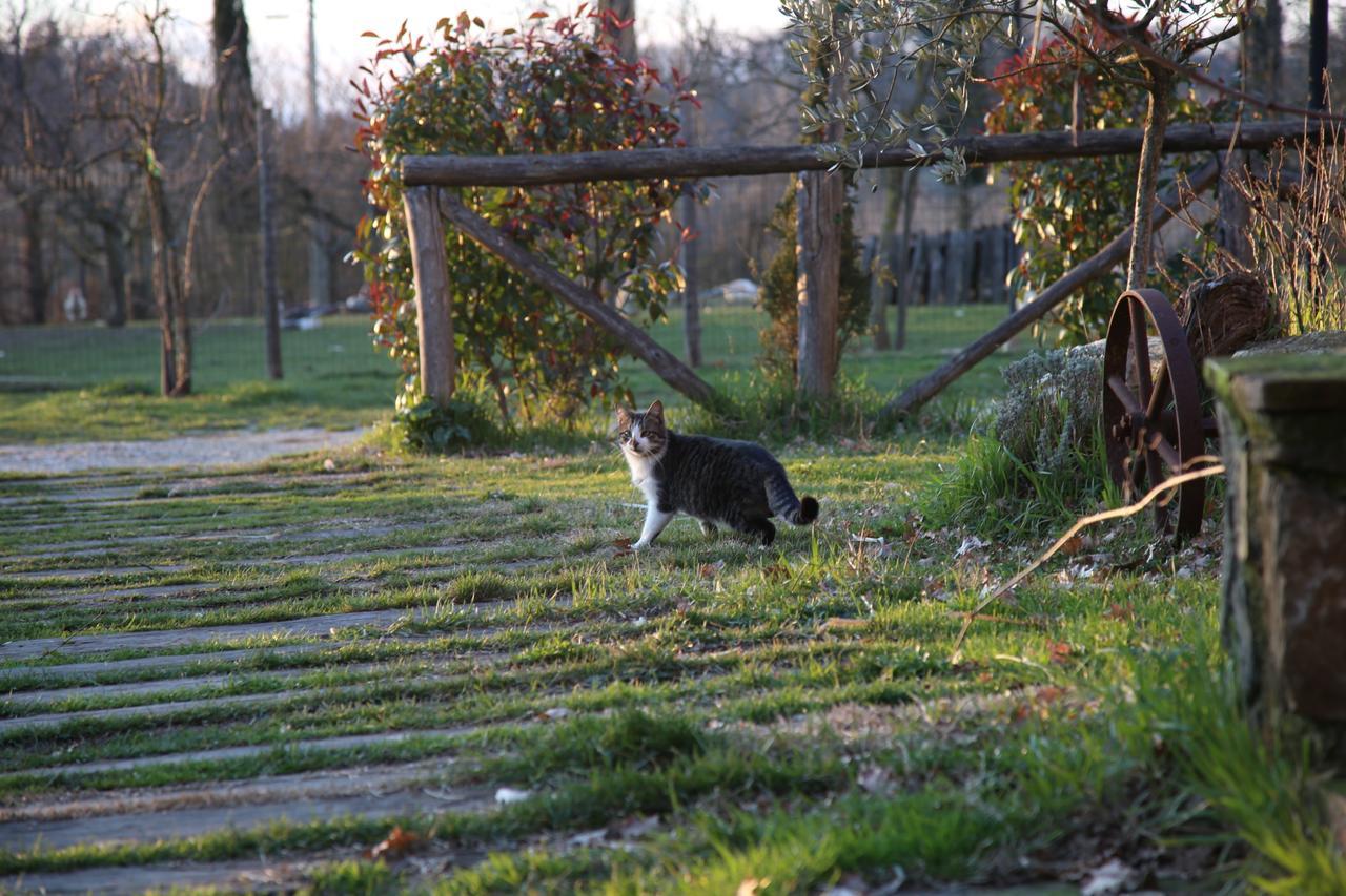 Agriturismo La Colombaia Villa Vicchio Eksteriør bilde