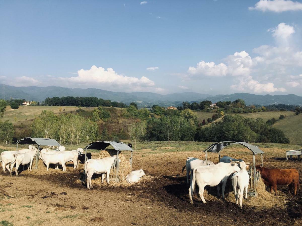 Agriturismo La Colombaia Villa Vicchio Eksteriør bilde